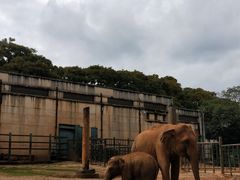 -昆明动物园