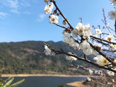 -广州市流溪河国家森林公园