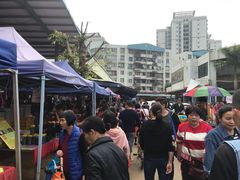 -细村农贸综合市场