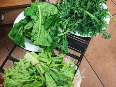-东巴谷野生菌火锅餐厅