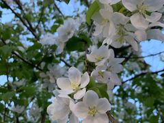 -平娃三宝烧烤·面食(南小街店)