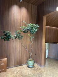 -Dr.U博士医疗美容医院