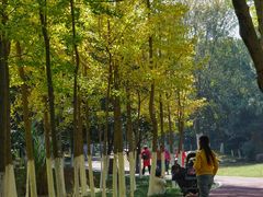 -艾溪湖湿地公园