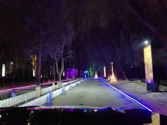 -枫花园汽车电影院(朝阳公园店)