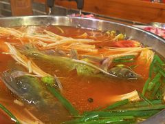 -亮欢寨酸汤鱼(沙冲路店)