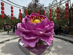 -太阳宫公园