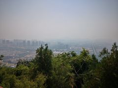 -府君山公园