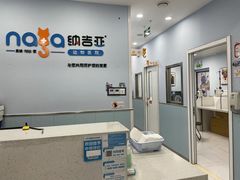 -纳吉亚猫专科动物诊疗中心(蒋宅口分院)