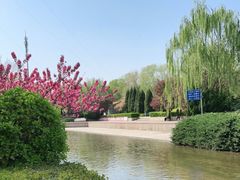 -元大都城垣遗址公园