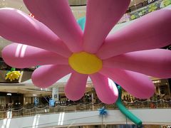 -石家庄万象城
