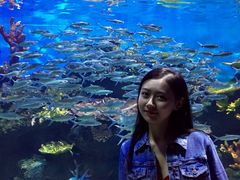 -华夏文旅海洋公园