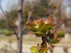 -元大都城垣遗址公园