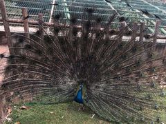 -昆明动物园