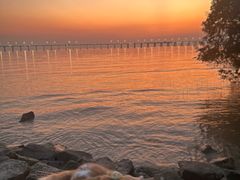 -宝安西湾红树林湿地公园