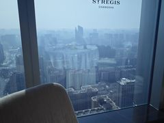 -Yan Ting宴庭中餐厅-长沙瑞吉酒店(运达店)