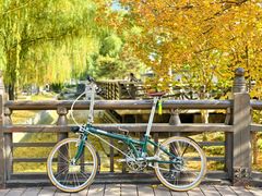 -美国大行折叠自行车直营店(朝阳大悦城店)