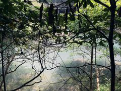 -石台牯牛降景区