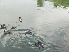 -前关湿地公园