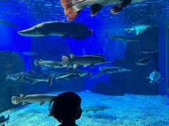 -多彩贵州城极地海洋世界