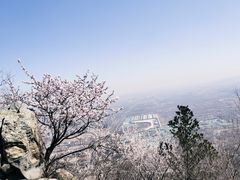 -北京鹫峰国家森林公园