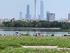 -海珠湖公园