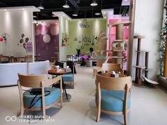 -藏猫猫咖啡主题馆(中央大道店)