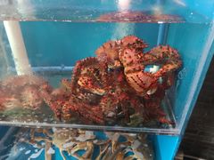 红毛蟹-吉友粥底火锅(方斜路店)