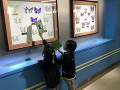 -上海昆虫博物馆