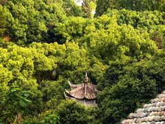 -宁波市保国寺古建筑博物馆