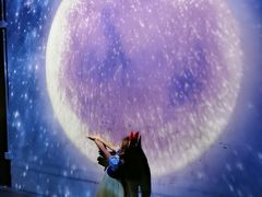 -星空失恋博物馆(双子塔旗舰店)
