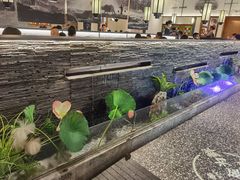 -大榕树下顺德菜(融创茂店)