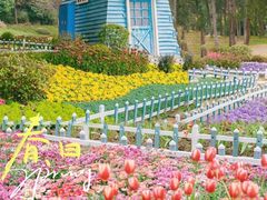 -铁山坪森林公园