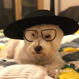 教授🐶