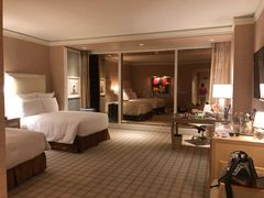 -拉斯维加斯永利酒店