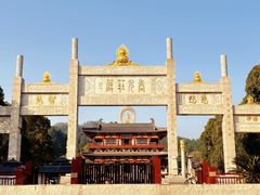 -庐山风景名胜区-东林大佛