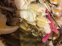 -尚海豆捞(乐虹坊店)