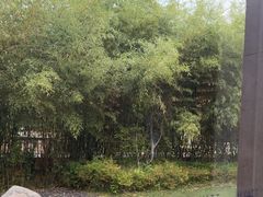 -西安凯悦酒店·湖畔中餐厅