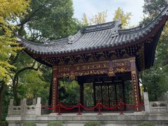 -汇龙潭