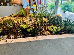 -春树下·树屋花房西餐厅(罍街AS1980店)