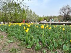 -长春公园(普阳街道)