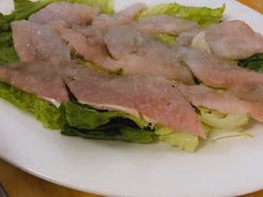 那哥鱼-金砂阿洲鱼册店