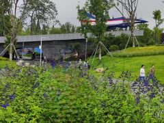 -成飞公园