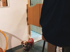 排骨-微饮cafe