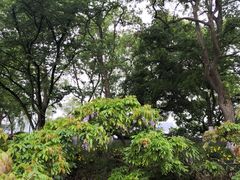 -苏堤停车场