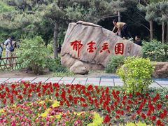 -长春公园(普阳街道)