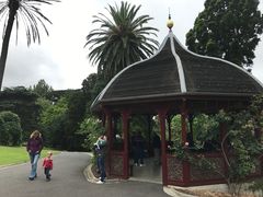 -墨尔本皇家植物园