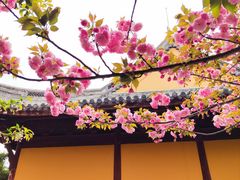-龙华寺
