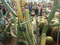 -南通洲际绿博园