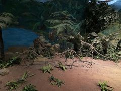 -自贡恐龙博物馆