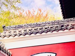 -长春观